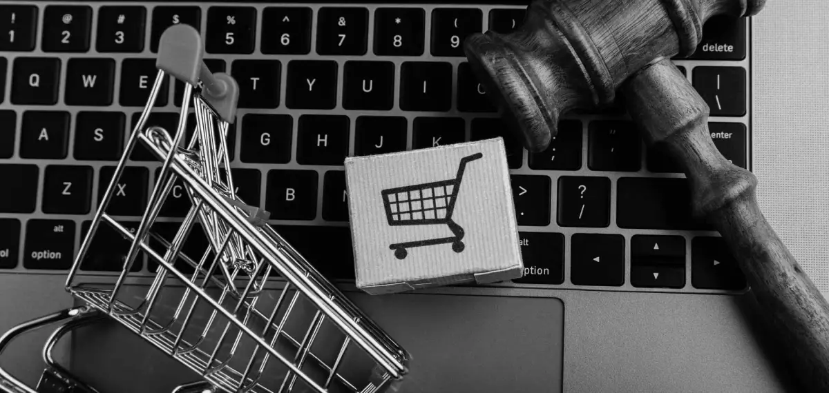 Consumer-protection-3 (1)